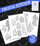 Mikkel Westrup Sketchbook DIGITAL EDITION